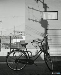 忍び寄る影(^o^;順光film