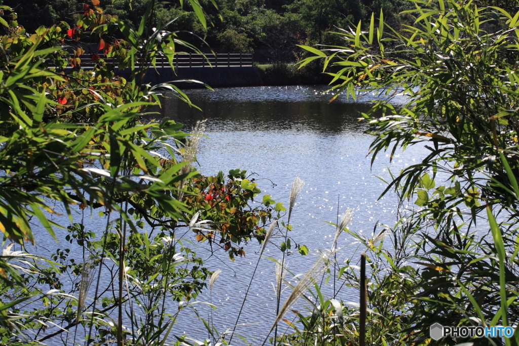 池きらめいていました(^o^)