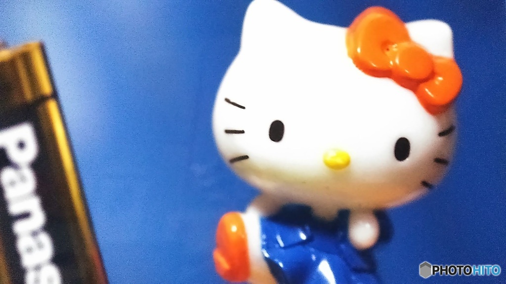カメラ　キヤノンにしたよ(^o^;L