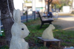 仮眠中？(=^・^=)j