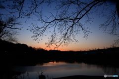 穏やかな夕暮れ(^o^)
