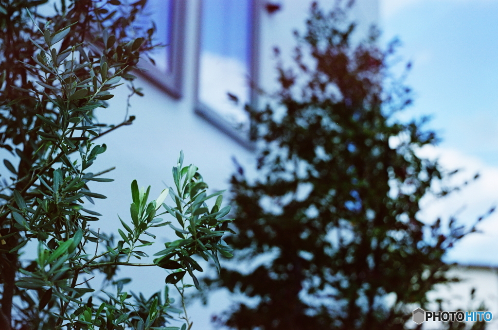 ブルートーン(=^・^=)film