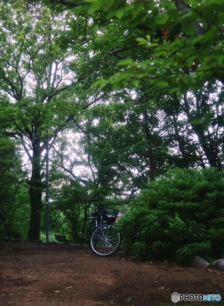 出し忘れ②/新緑の頃<(_ _)>film