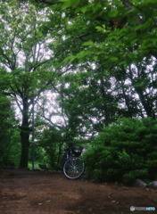出し忘れ②/新緑の頃<(_ _)>film