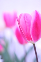 ♫あまい口づけ 遠い思い出〜(^o^;