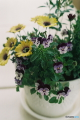 フレアぽい写りですが(^o^;