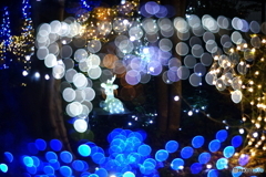 メルヘンな森（盛ってます）＼^0^／