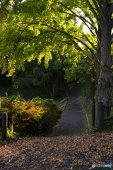 11/15投稿出来るようになりましたm(_ _)m