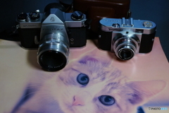 フィルム売ってカメラ買いました＼^0^／