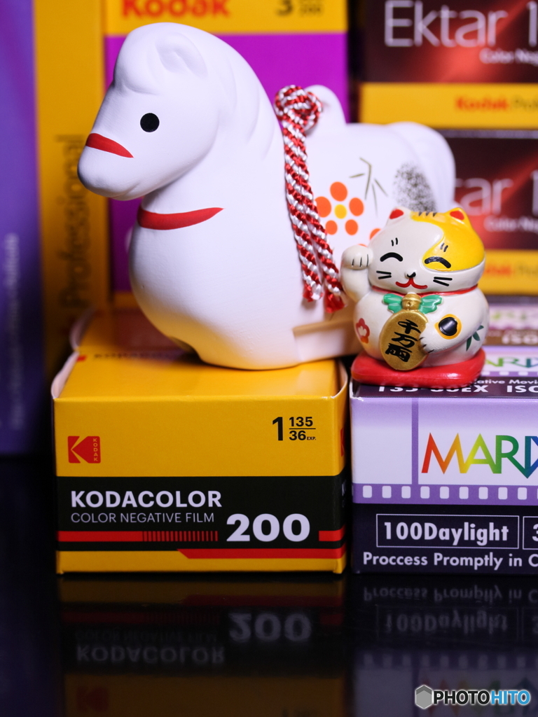 ♪ウマ年も写そフィルムで写そ(=^・^=)