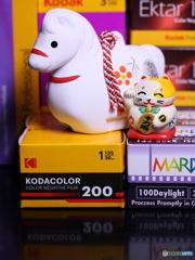 ♪ウマ年も写そフィルムで写そ(=^・^=)