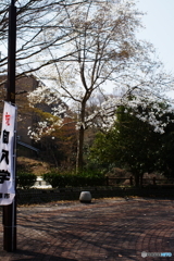 祝入学＼^0^／