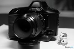 返り討ちにあいました（；´д｀）ゞ