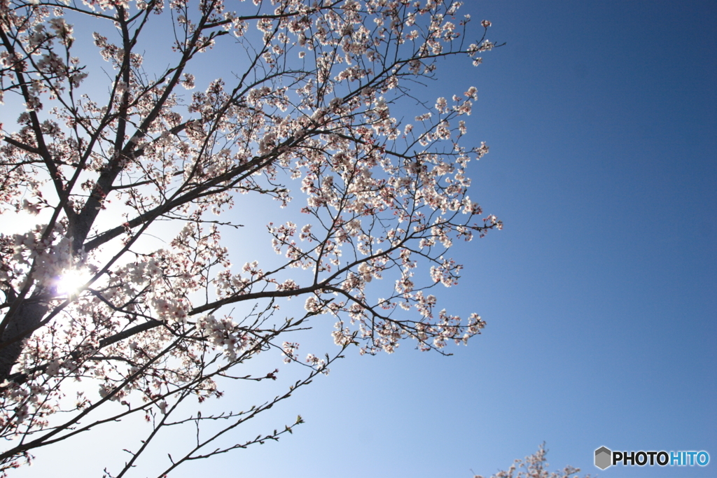 清い透明感(^o^)o