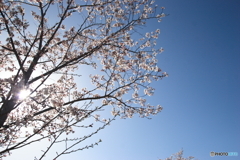 清い透明感(^o^)o