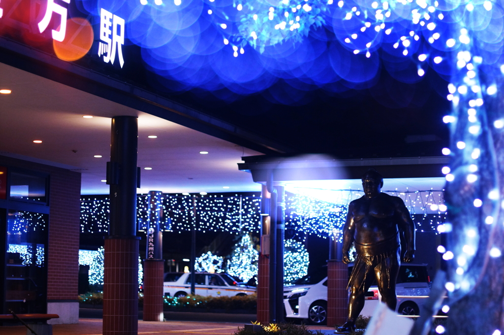 あ、魁皇関(=^・^=)