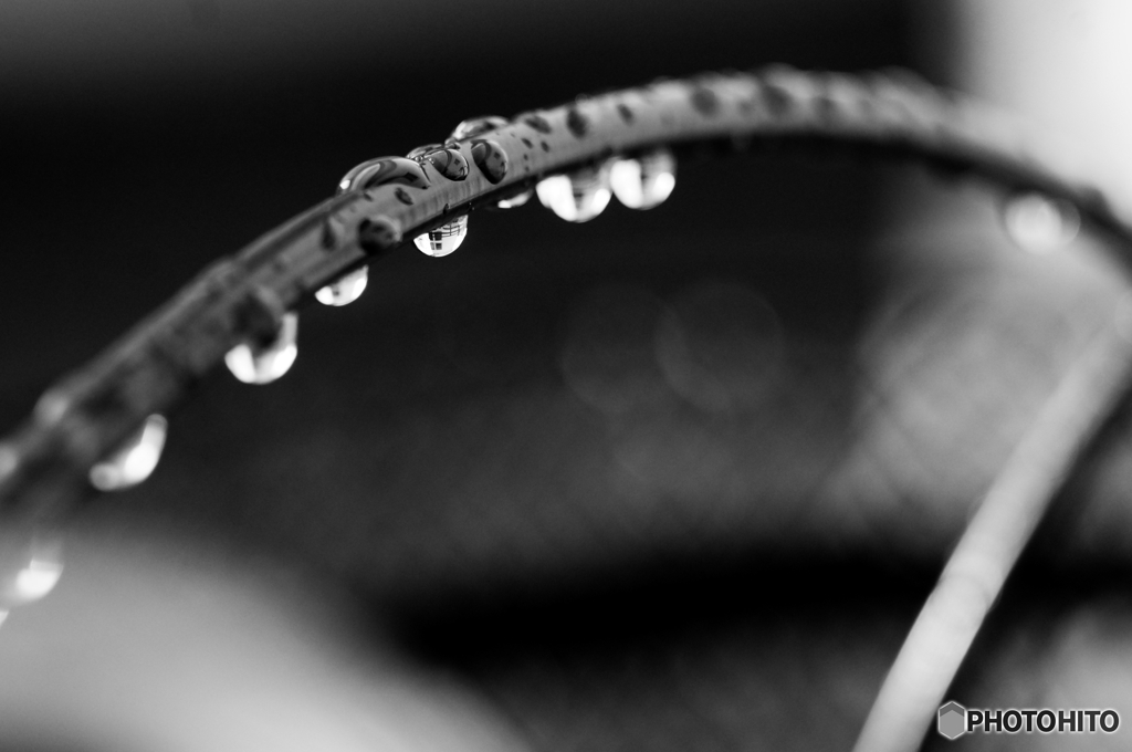 ♫ドラマティック・レイン(^o^;