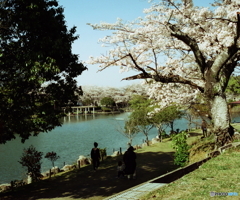 令和のαショック！Film(^o^;
