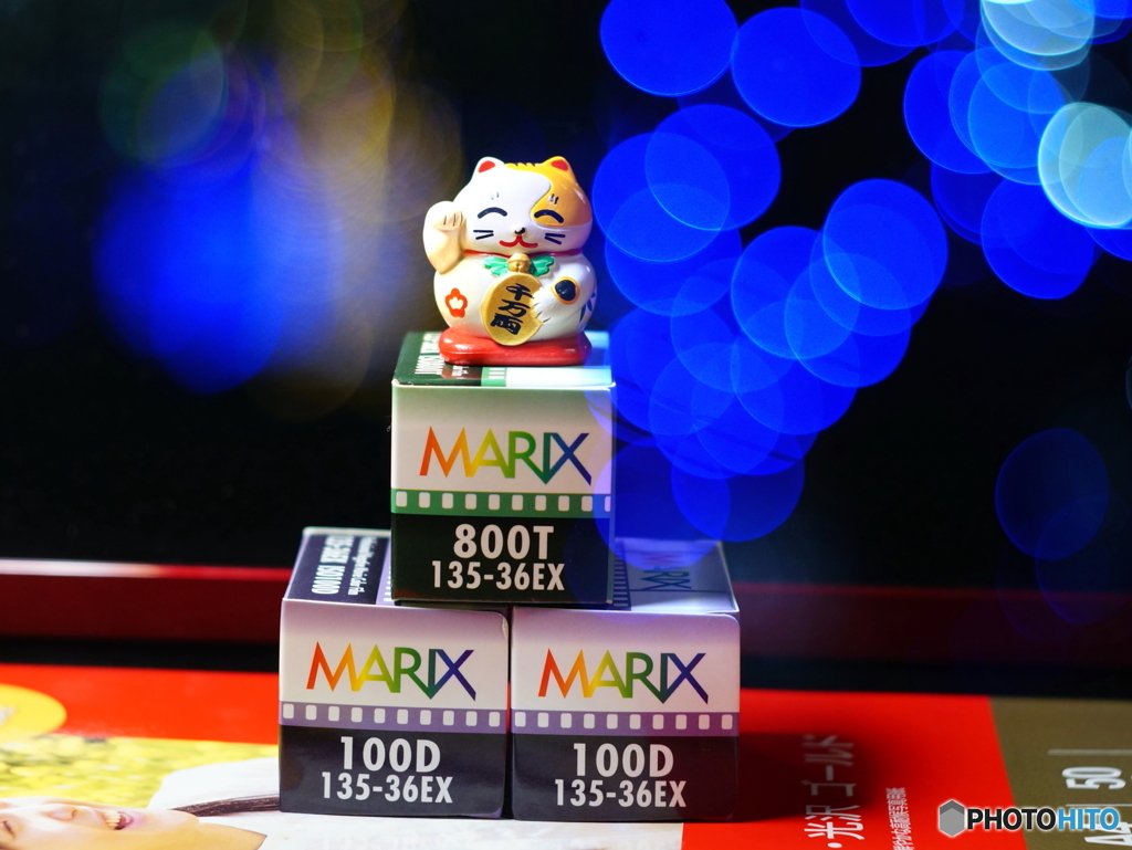 ♪イルミを写そフィルムで写そ(=^・^=)