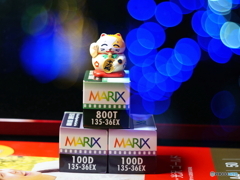 ♪イルミを写そフィルムで写そ(=^・^=)