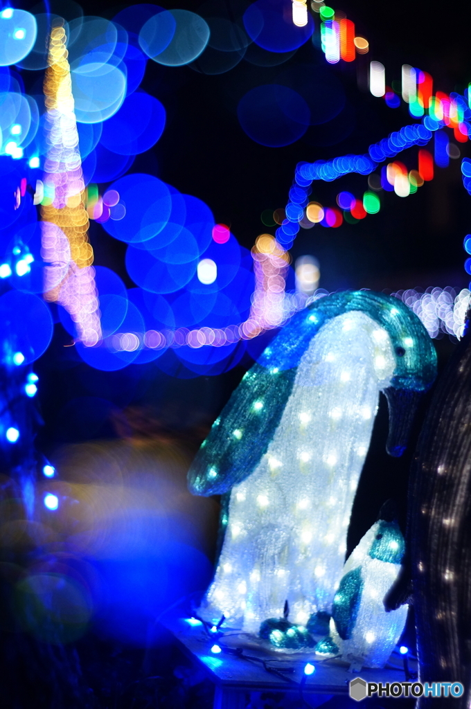 懲りずにメルヘン＼^0^／