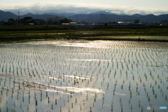 夕暮れ時に(^o^)j