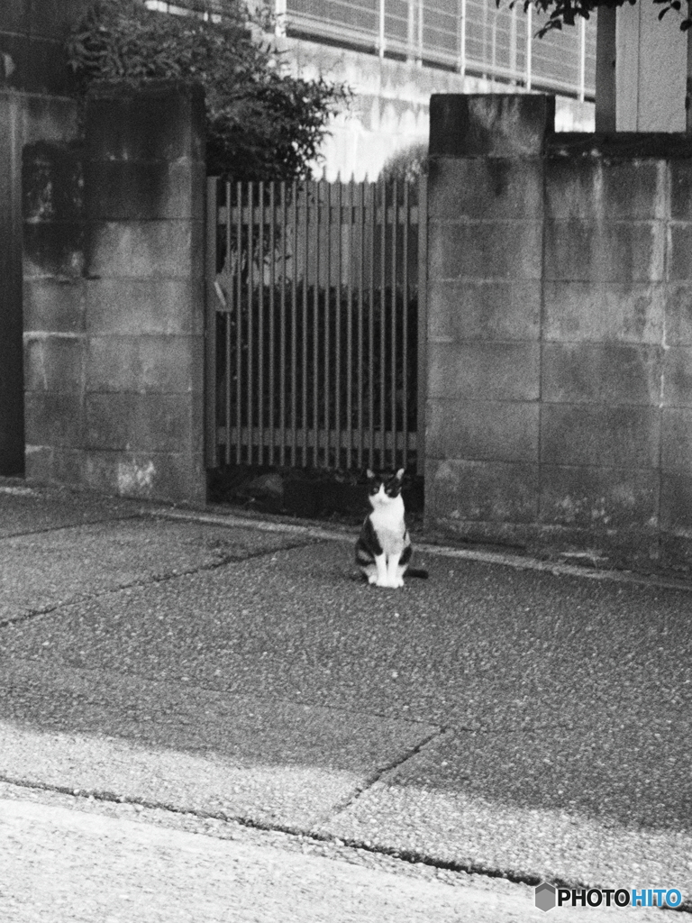 お帰りお待ちしてました(=^・^=)film