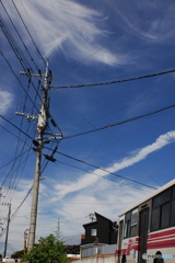 ハス(蓮）の代わりにバス写してみました<(＿　＿)>