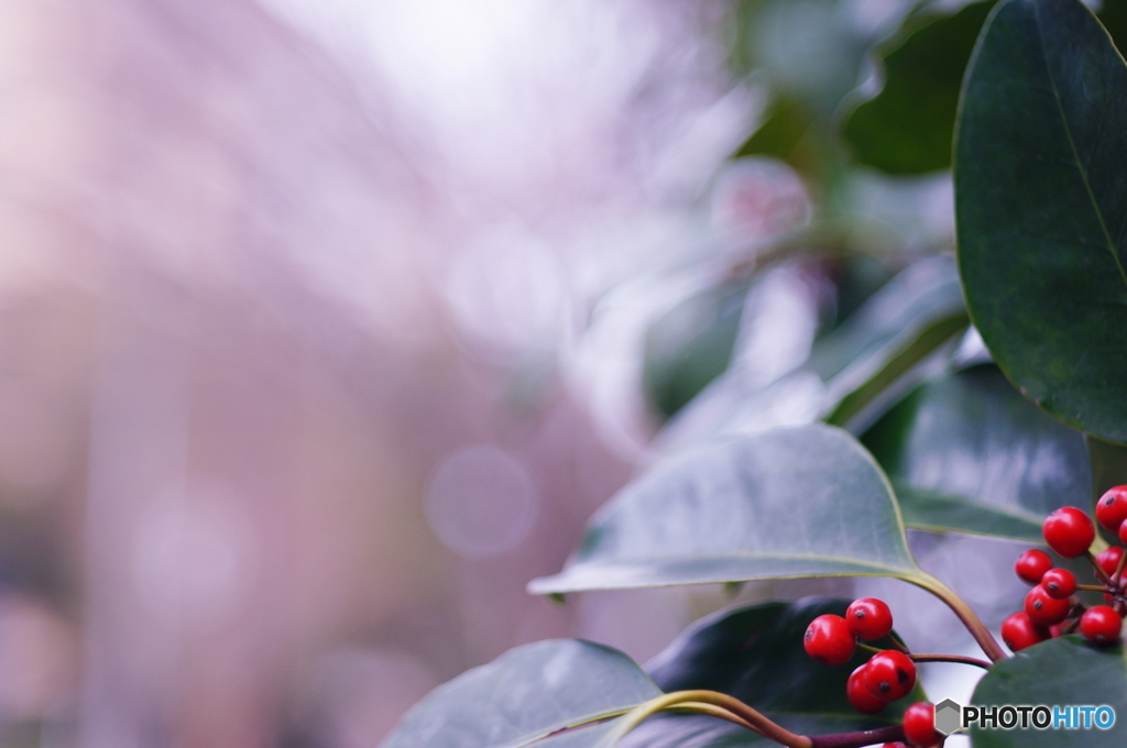 光りの誘惑(^o^;