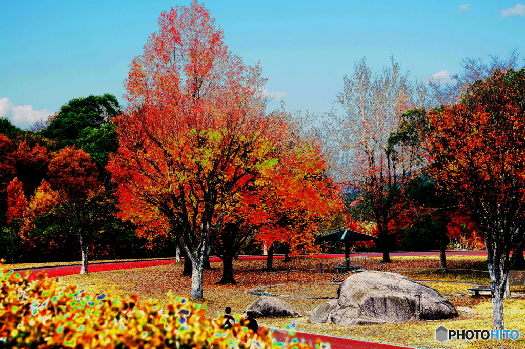 お遊びSolarisation(=^・^=)