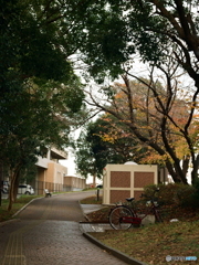 この道本当は川なんですfilm(^o^;m