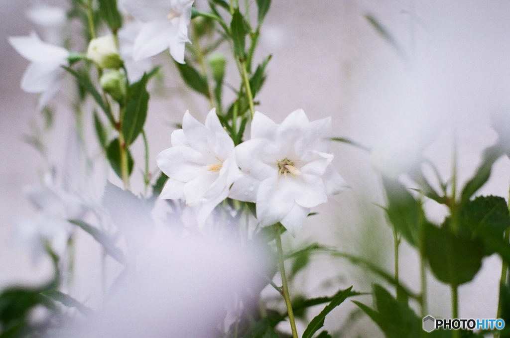 七月なのに五月雨(・・;)film