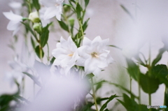 七月なのに五月雨(・・;)film