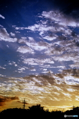 暑かった日の夕暮れk(=^・^=)film