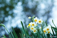 7角形の玉ボケですが(^o^;