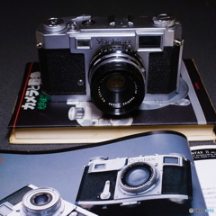 パッと見ContaxⅡa(=^・^=)