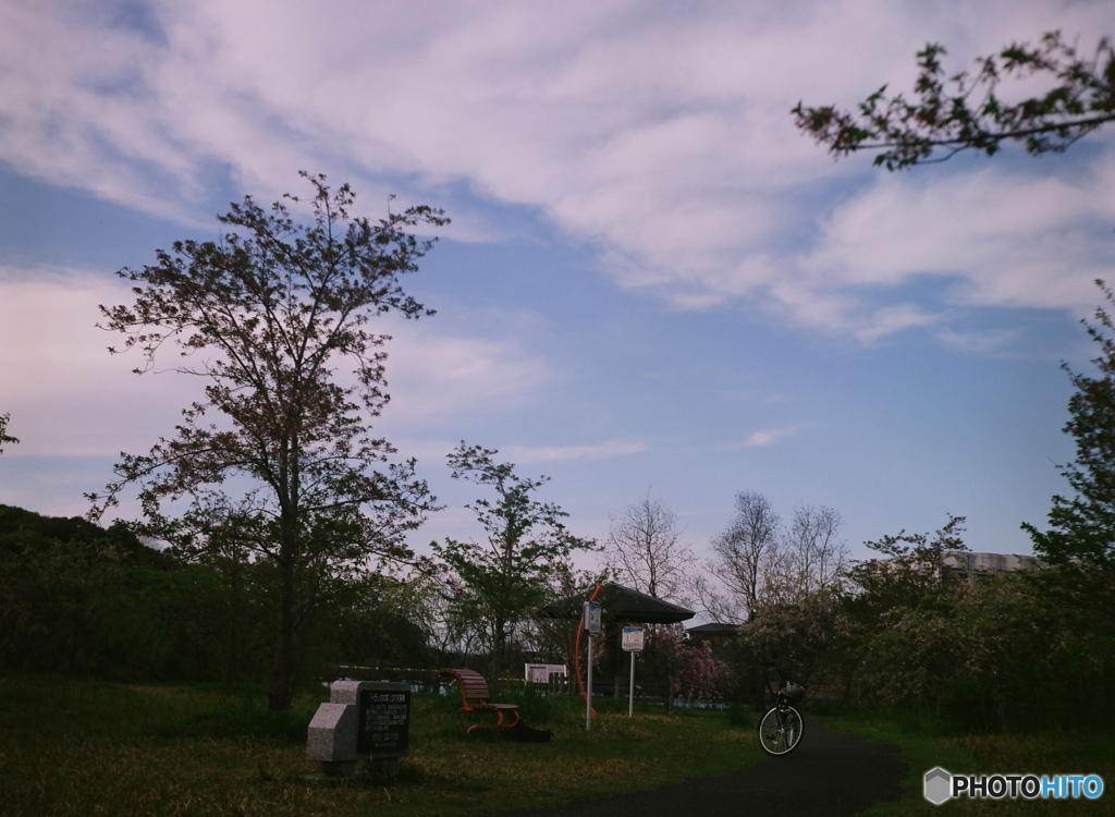 夕暮れの公園film