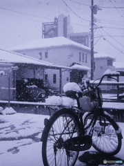 ♪白い雪がただ降るばかりn_(_^_)_film
