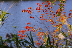 きらめいていました(^o^)