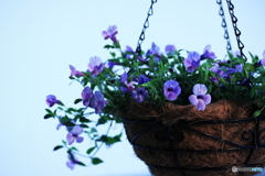 過ぎ去る夏(^o^;