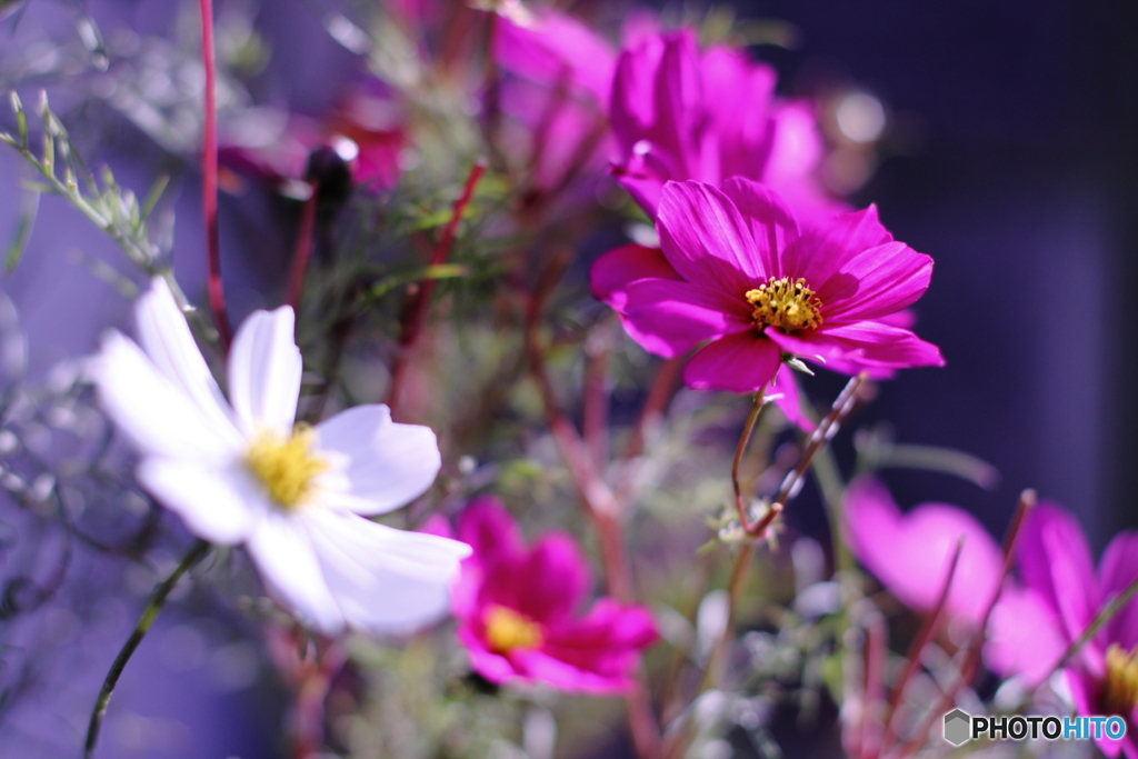 はい(^o^)元気です