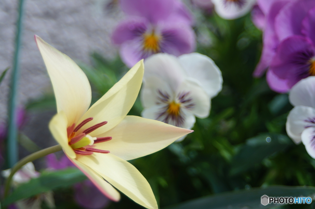 これが本当の私です(^o^;