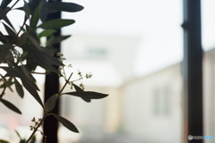 待合室にて(=^・^=)film