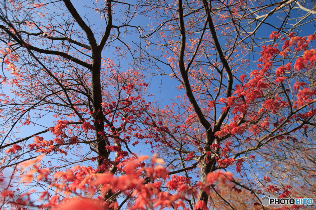 迫りくる赤(^o^;