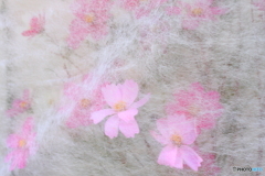 芸術の秋①アートでしょうか(^o^;