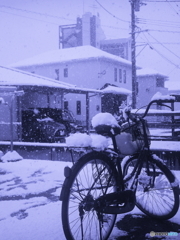 残暑お見舞い申しあげます<(_ _)>film