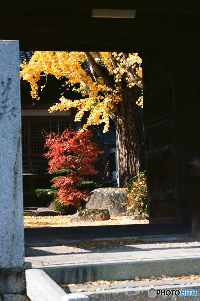 No,2あの日あの時(=^・^=)film