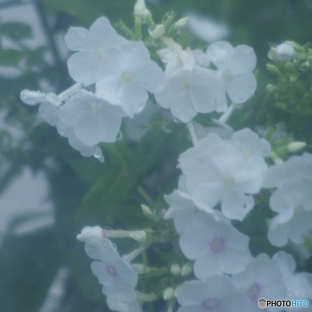 Veil（ベール）(^o^)n