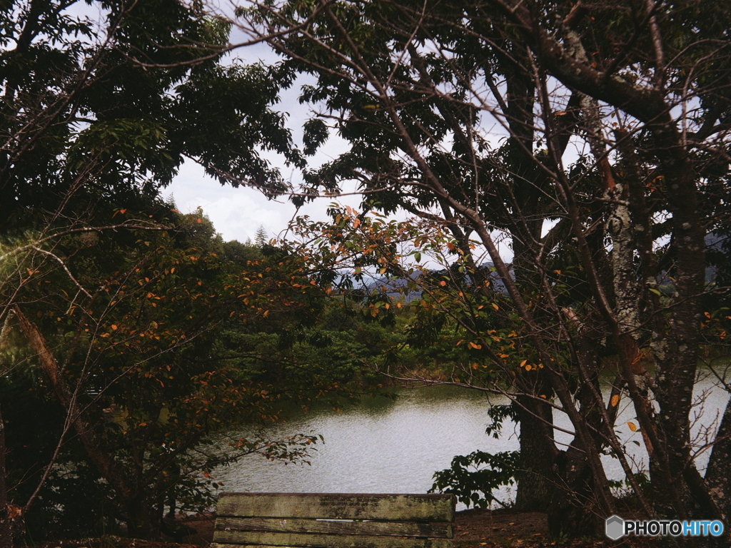 ②シュナイダーは見た！令和の秋(=^・^=)film