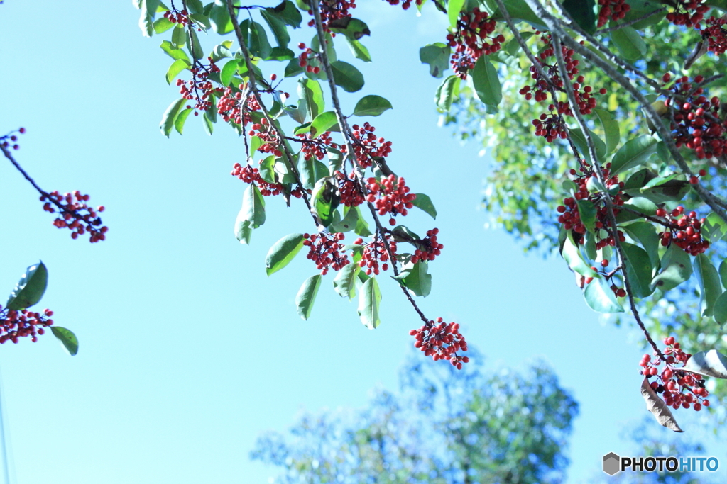 ハイキー調に(^o^)i